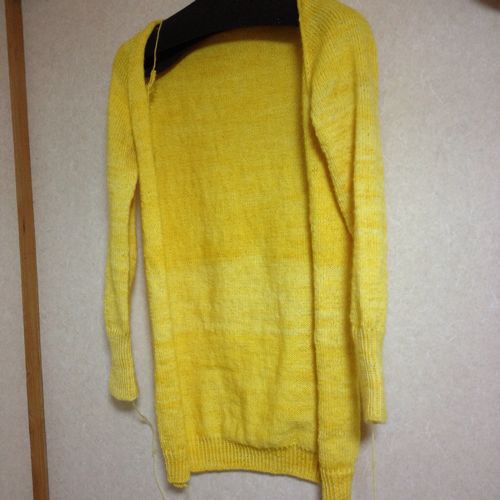 Featherweight Cardigan 5 やっぱり駄目だったー_d0314781_19383494.jpg