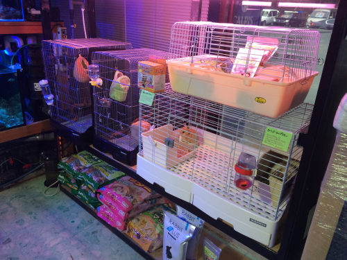 3/12 店長日記_e0173381_19224148.jpg