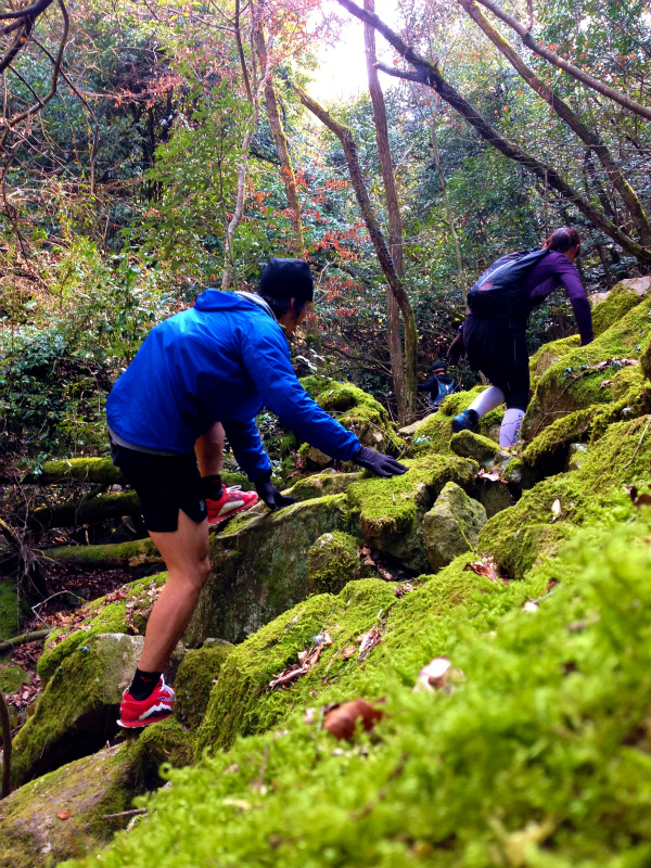 Trail Session in Kumayama 熊山_b0220886_11433641.jpg
