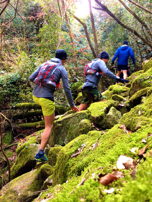 Trail Session in Kumayama 熊山_b0220886_11441655.jpg