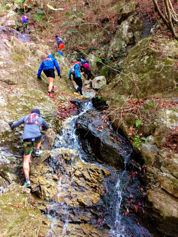 Trail Session in Kumayama 熊山_b0220886_11593960.jpg