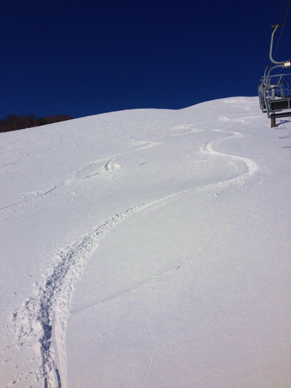 兵庫県 某所 Last Powder Session in Hyogo 2014/03/11_b0220886_12262597.jpg
