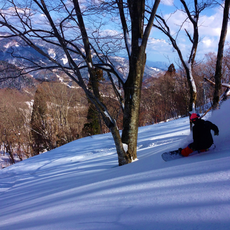 兵庫県 某所 Last Powder Session in Hyogo 2014/03/11_b0220886_12304634.jpg