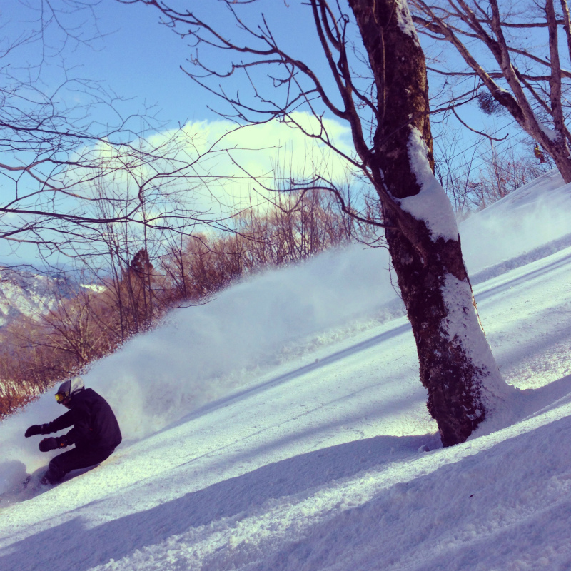 兵庫県 某所 Last Powder Session in Hyogo 2014/03/11_b0220886_12325822.jpg