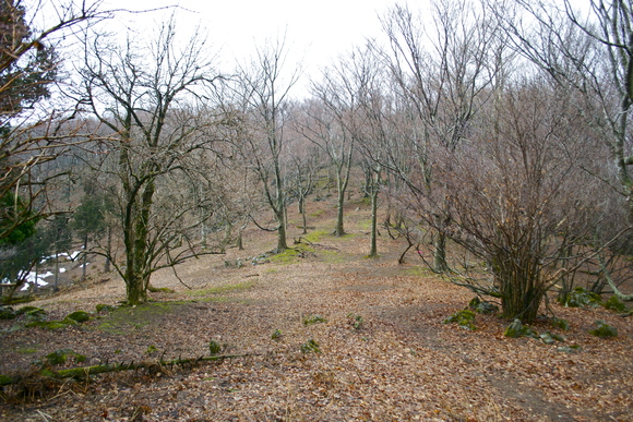 c0309492_2355684.jpg