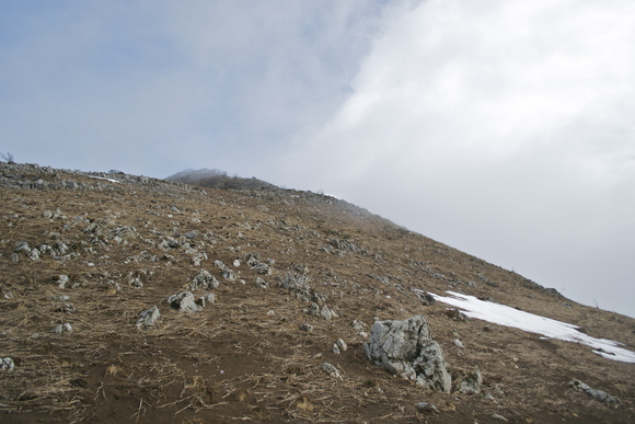 c0309492_2375230.jpg