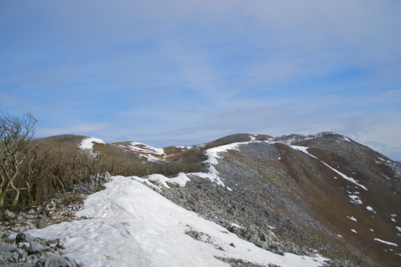 霊仙山_c0309492_2394342.jpg