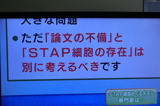 STAP細胞嘘か小保方さん論文騒動、理化学研究所の権威にかけて頑張れ小保方さん信じてる、頑張れ橋下徹!!_d0181492_23203627.jpg