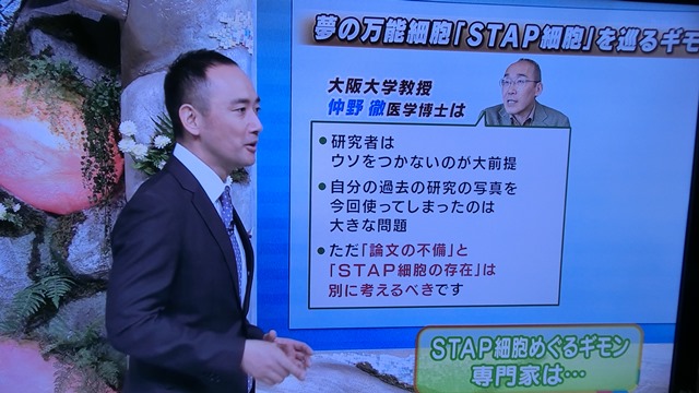 STAP細胞嘘か小保方さん論文騒動、理化学研究所の権威にかけて頑張れ小保方さん信じてる、頑張れ橋下徹!!_d0181492_232076.jpg