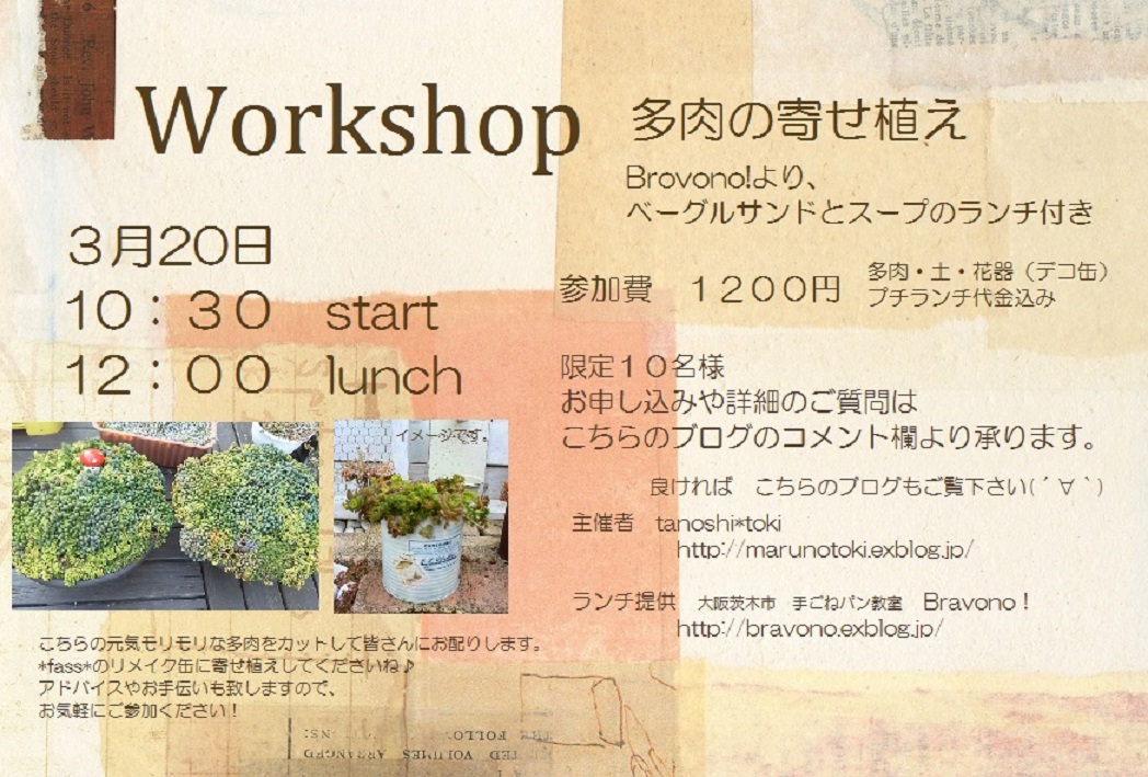 多肉の寄せ植えイベント☆彡_b0201198_23103623.jpg