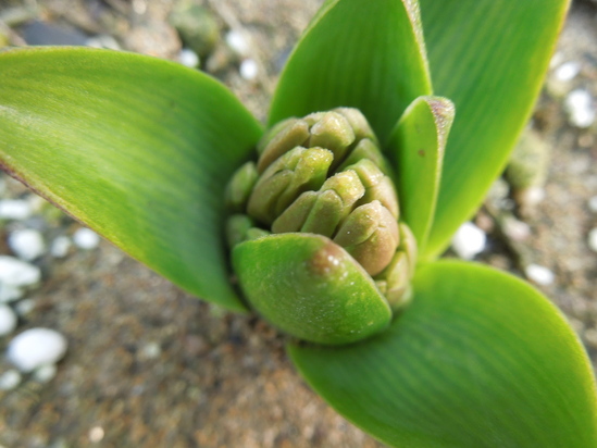 f0297809_035154.jpg