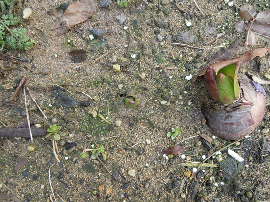 f0297809_045231.jpg