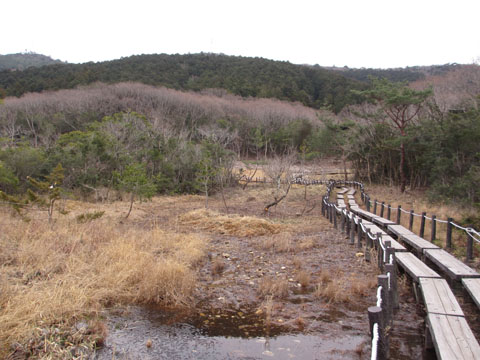 e0293913_2255736.jpg