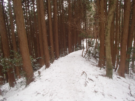 東海自然歩道（嵐山～箕面）に挑戦！_a0036424_10171145.jpg