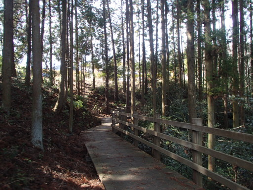 東海自然歩道（嵐山～箕面）に挑戦！_a0036424_10272776.jpg