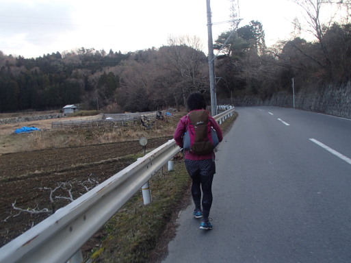 東海自然歩道（嵐山～箕面）に挑戦！_a0036424_10392328.jpg