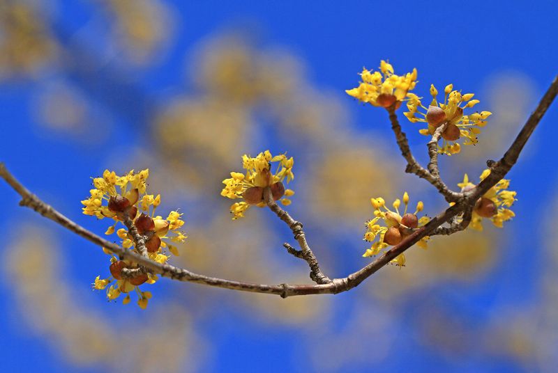 c0104227_13215415.jpg