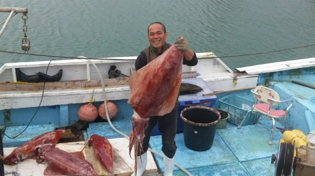 ソデイカ 沖縄 遊漁船 し べいび