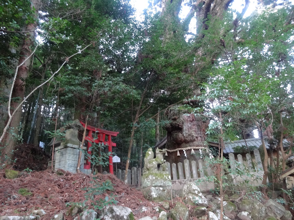 c0306845_6422710.jpg