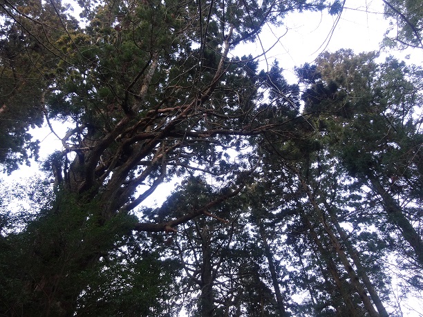 c0306845_6424869.jpg