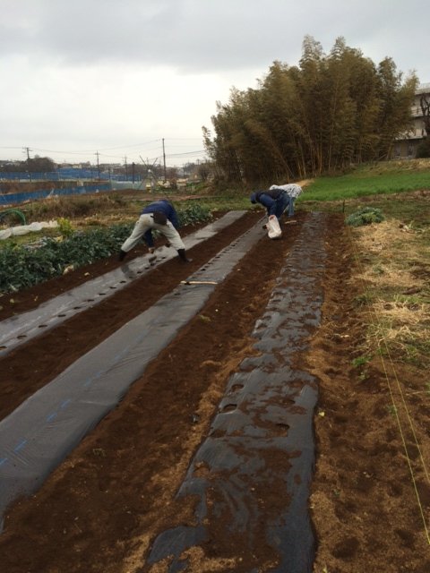 午後から雨の予報が　午前中から雨・・ジャガイモの植え付け＆畑取材同時進行です_c0222448_12032913.jpg