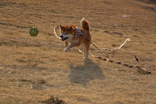f0245650_14372454.jpg