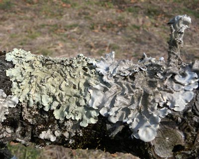 e0035757_0134453.jpg