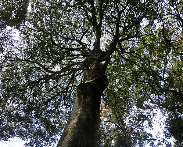 e0035757_0192011.jpg
