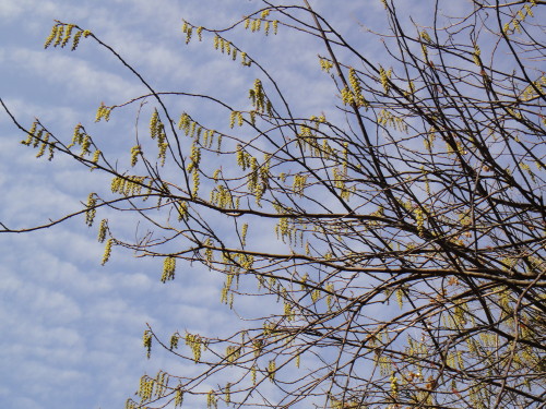 c0256558_9183841.jpg