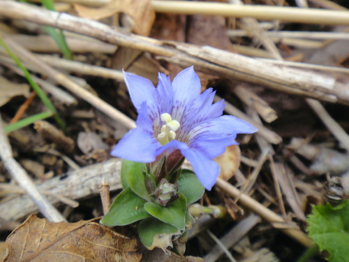 c0256558_9251845.jpg