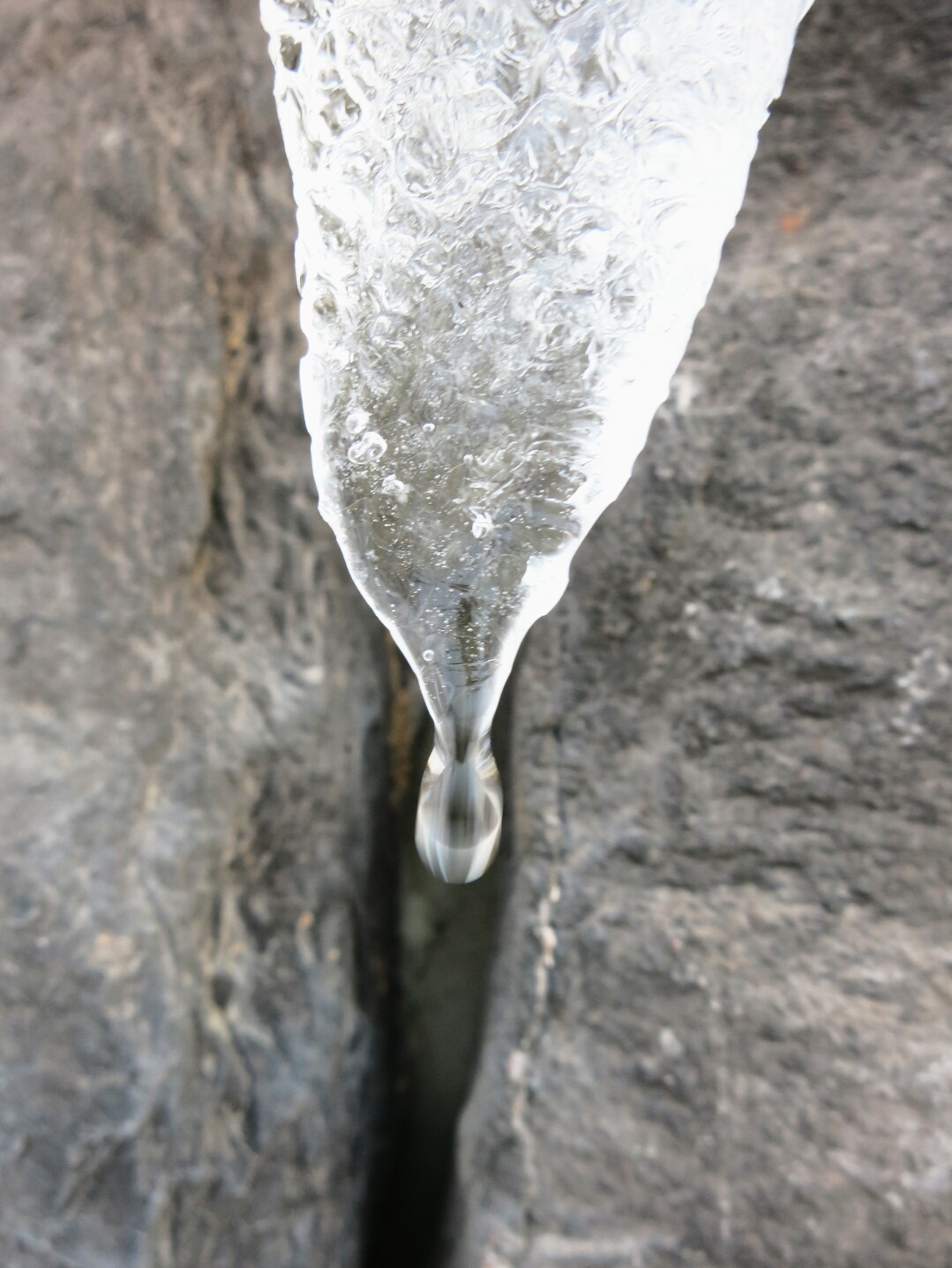 f0236260_15453565.jpg