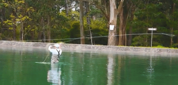 f0084561_13222898.gif