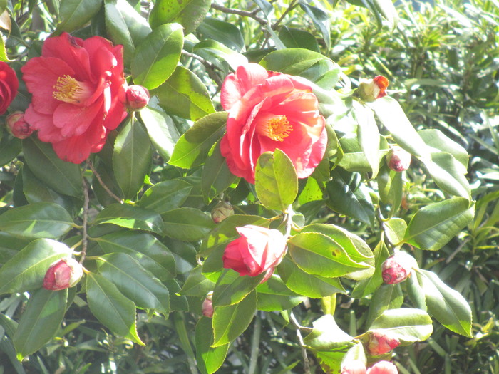 f0113862_2101171.jpg