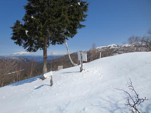 夏焼山　　3週間後のガッツポーズ_f0302771_1217105.jpg