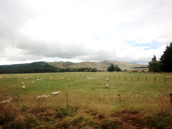 d0122187_1315941.jpg