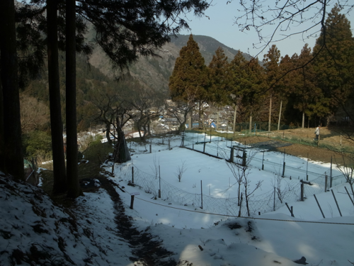 e0271890_01461862.png