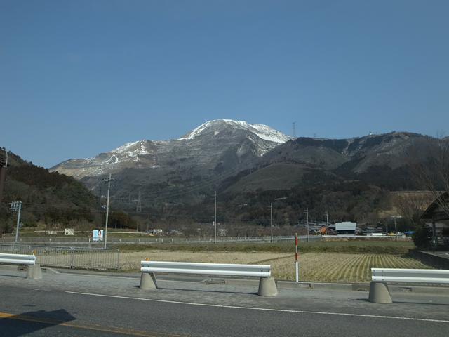 伊吹野、大久保地区自生地　節分草　見ごろ_e0271890_01590941.png