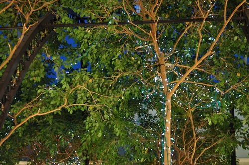 e0205297_16371462.jpg