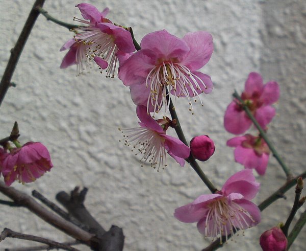 a0031000_22351566.jpg