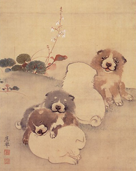 犬画_c0072801_19552117.jpg