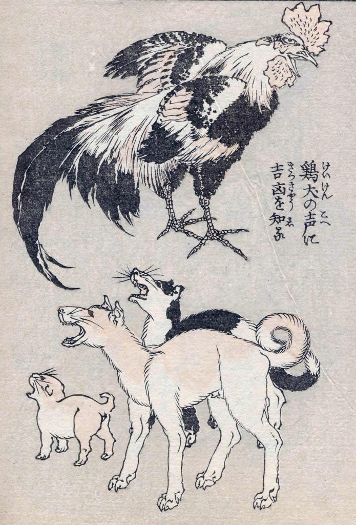 犬画_c0072801_2003790.jpg