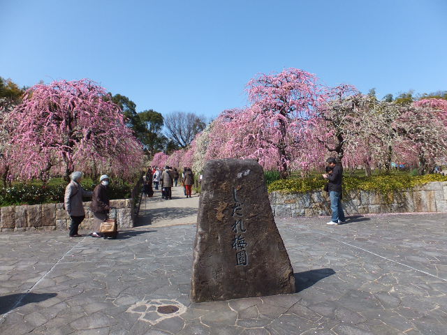a0271502_14235746.jpg