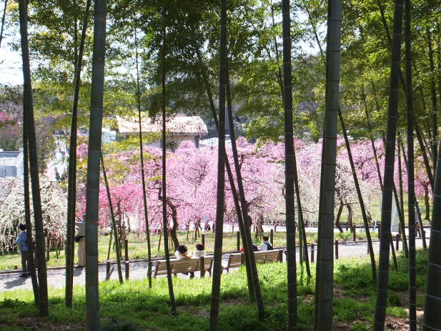 a0271502_14335730.jpg