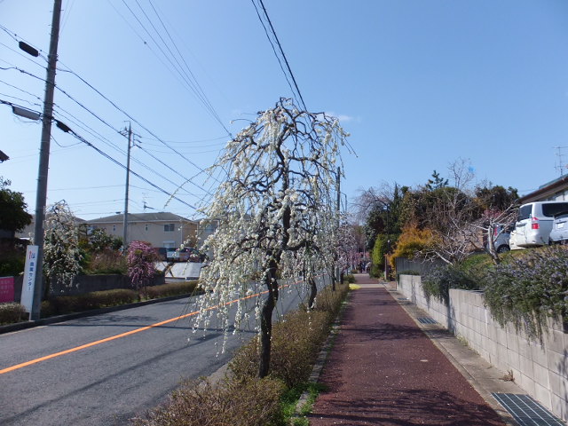 a0271502_1449227.jpg