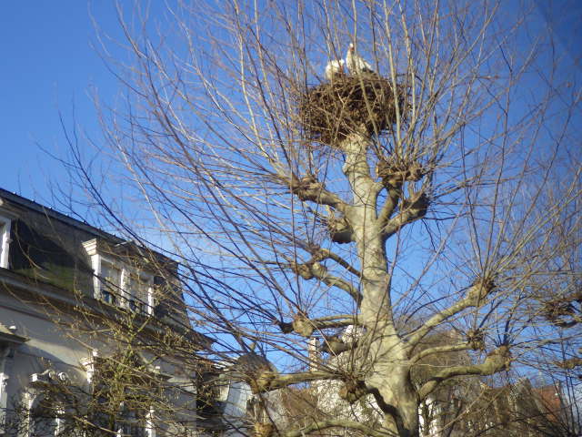 c0280206_812229.jpg