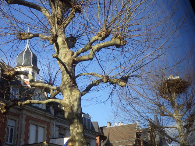 c0280206_82767.jpg