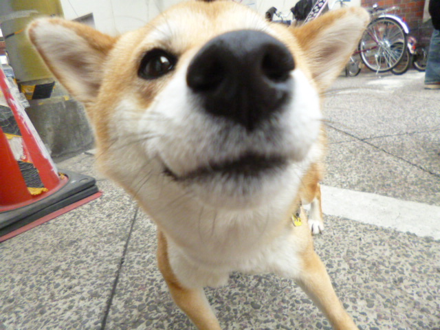 e0131506_1032345.jpg