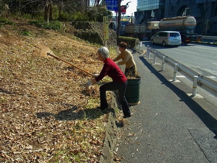 ヨシ刈りと道路沿いの落ち葉はき_b0049307_18304626.jpg