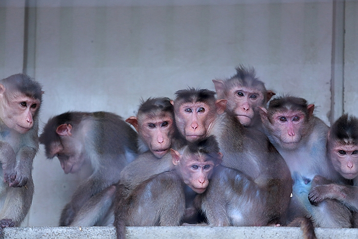 えひめ　”とべ動物園”　NO.1_a0140608_7133451.jpg