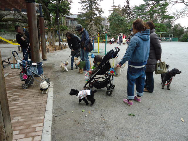 b0312810_16282054.jpg